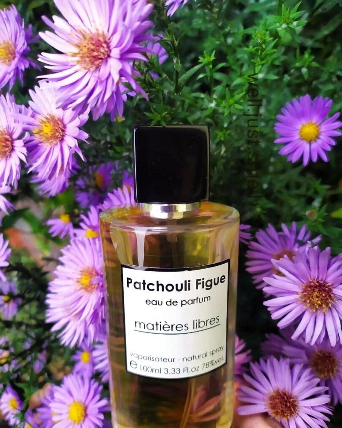 Panouge Patchouli Figue
