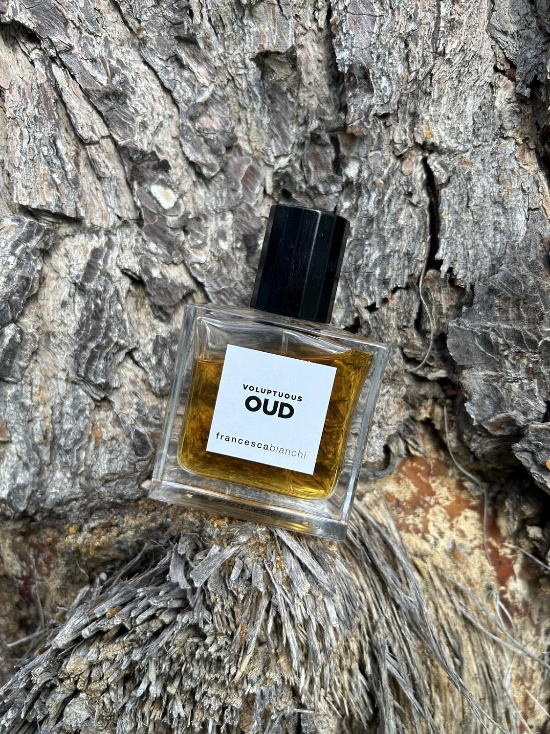 Francesca Bianchi Voluptuous Oud
