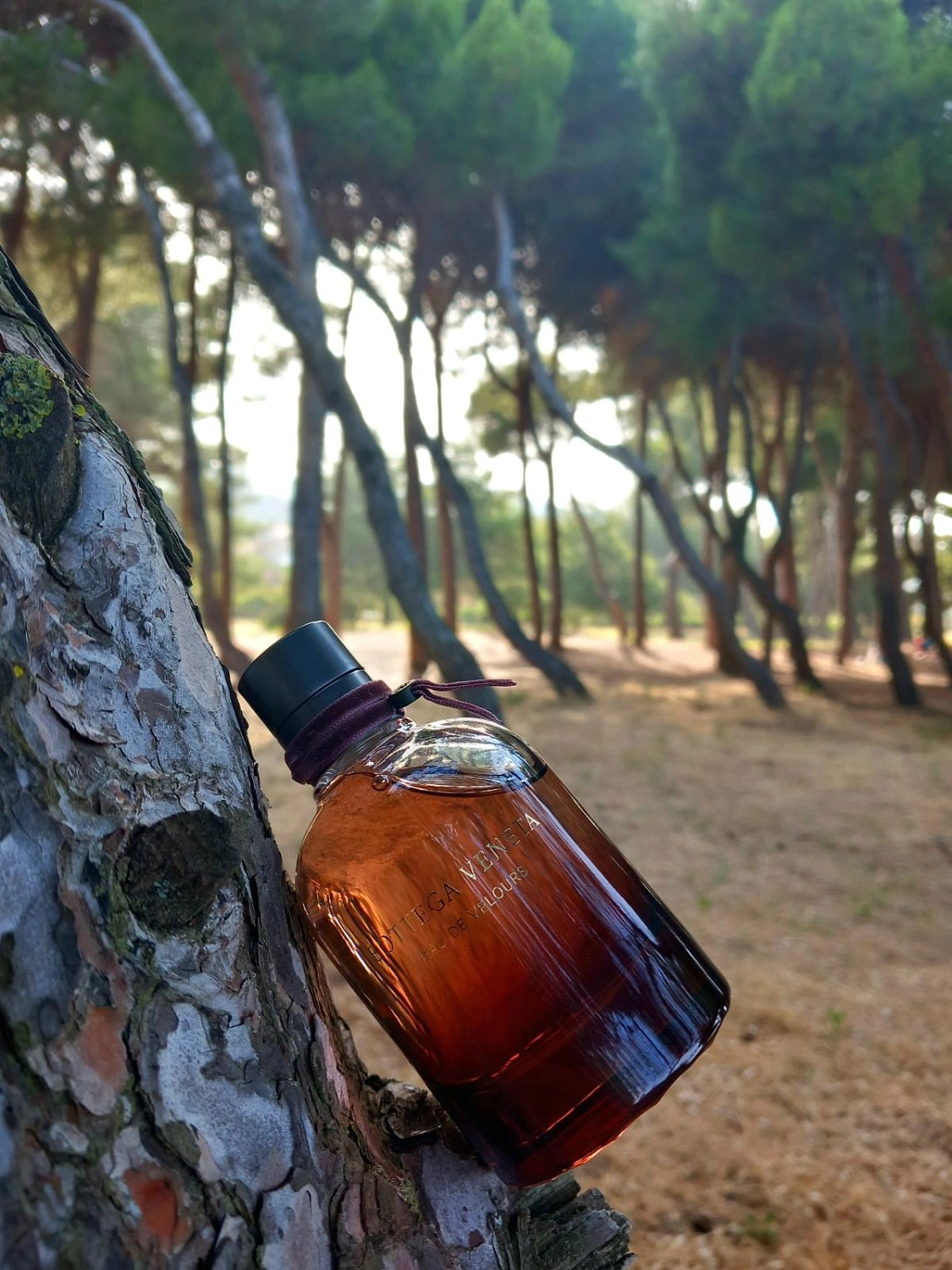 Bottega Veneta Eau de Velours
