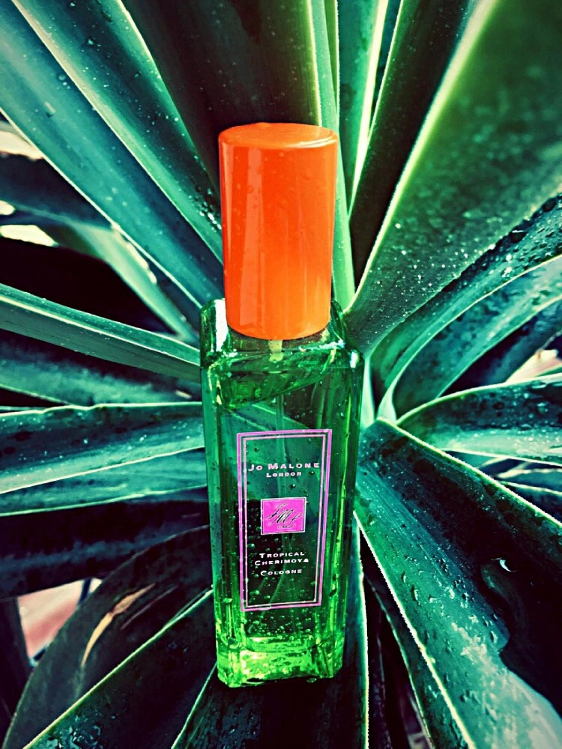Jo Malone Tropical Cherimoya