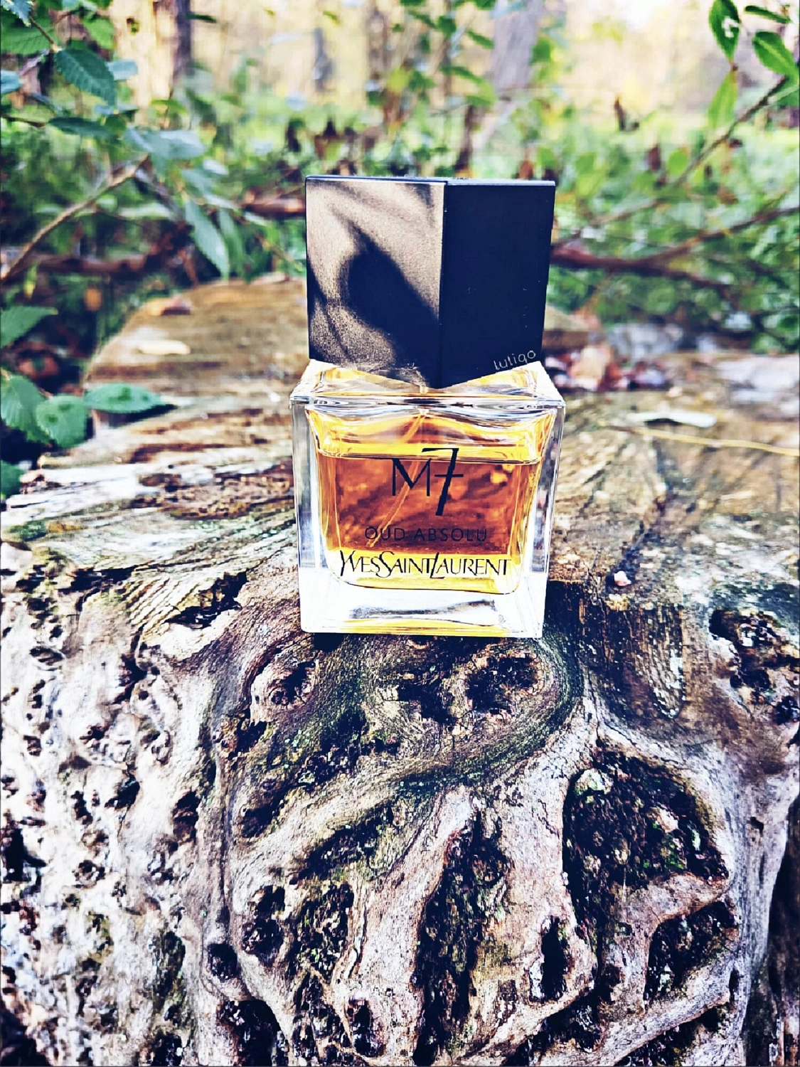 Yves Saint Laurent La Collection M7 Oud Absolu