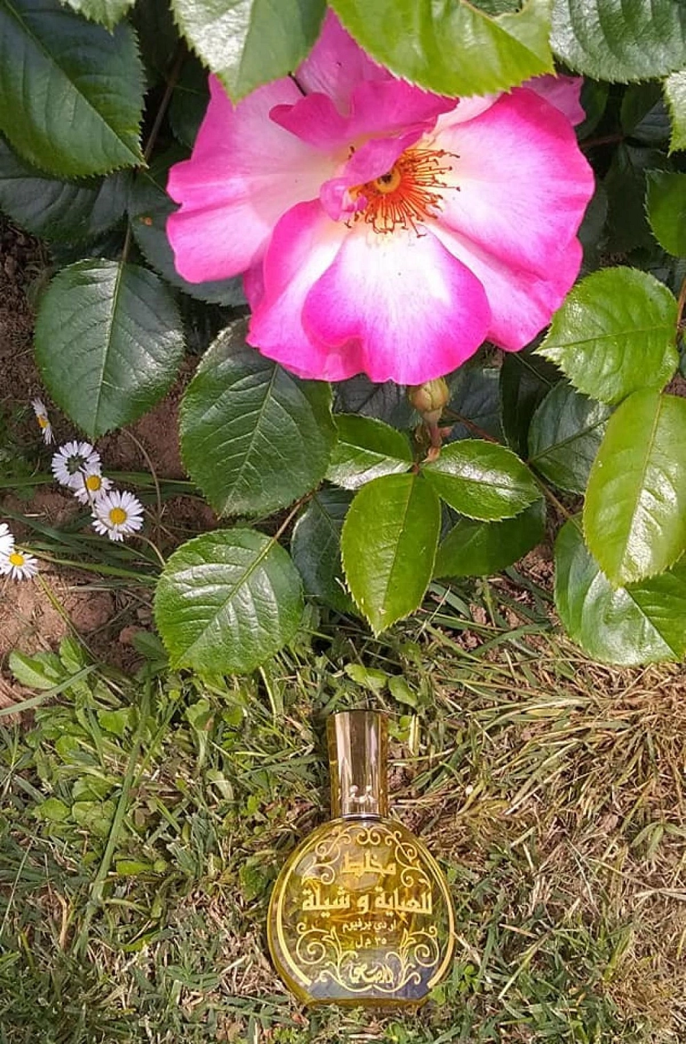 Rasasi Mukhallat Lil Abhaya Wa Shela