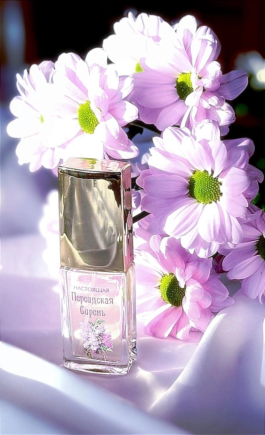 Novaya Zarya (Новая Заря) Настоящая Персидская Сирень (True Persian Lilac)