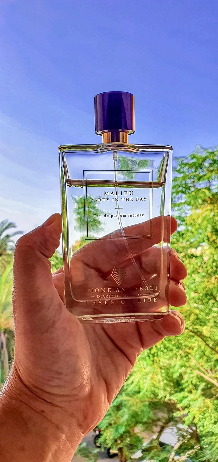 Simone Andreoli Malibu - Party in the Bay