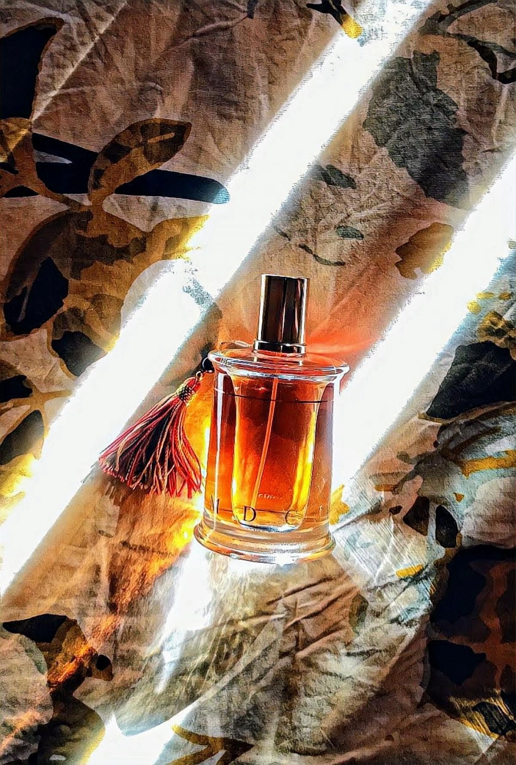 MDCI Chypre Palatin