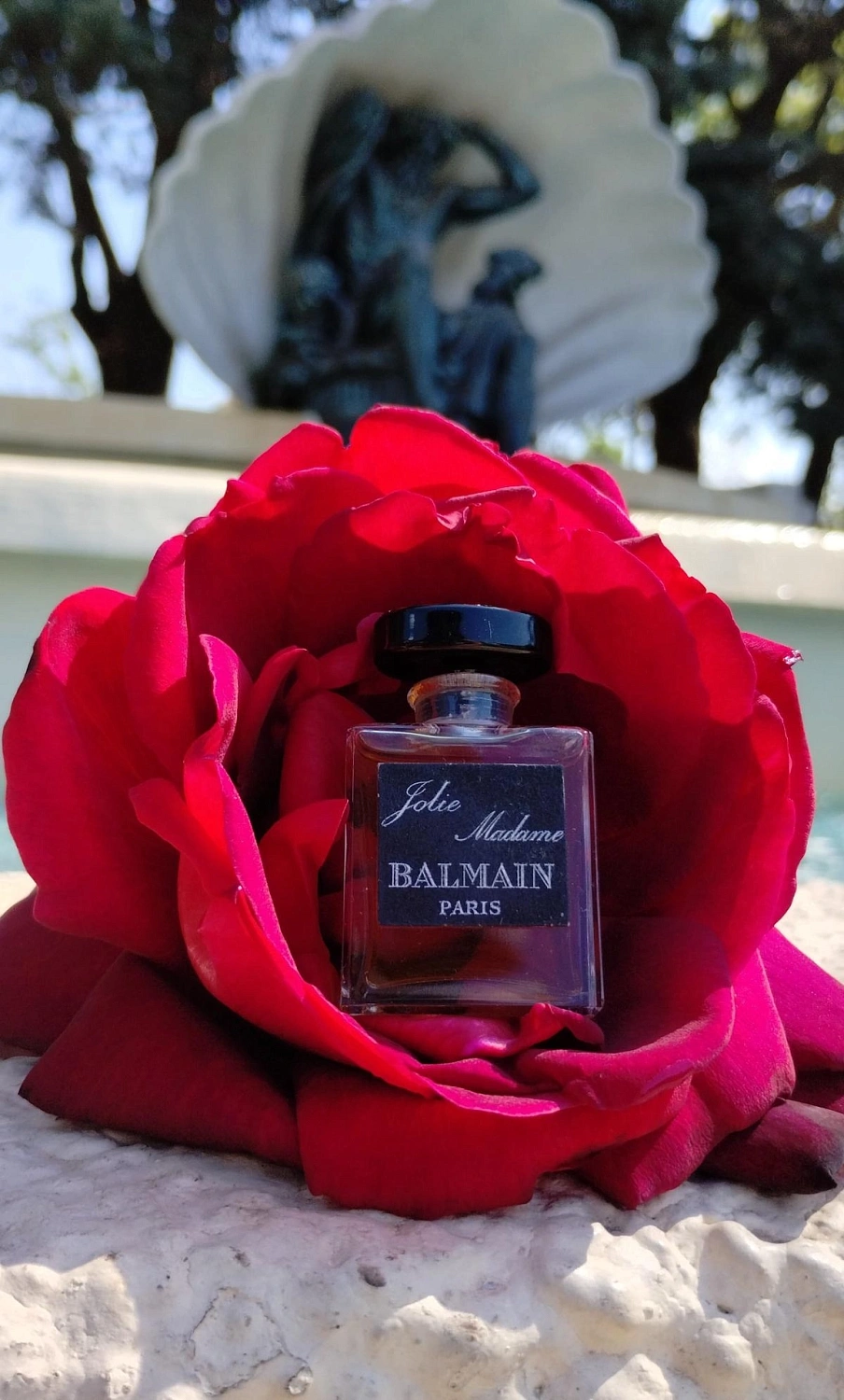 Balmain Jolie Madame