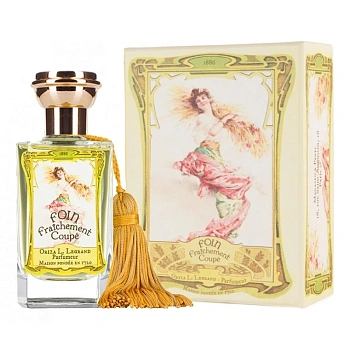 Фото Oriza L. Legrand Foin Fraichement Coupe