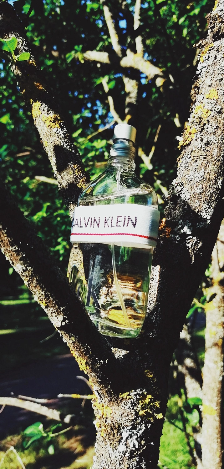 Calvin Klein CK Everyone