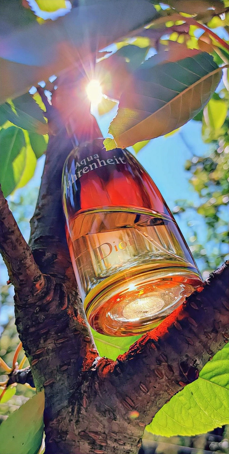 Christian Dior Fahrenheit Aqua