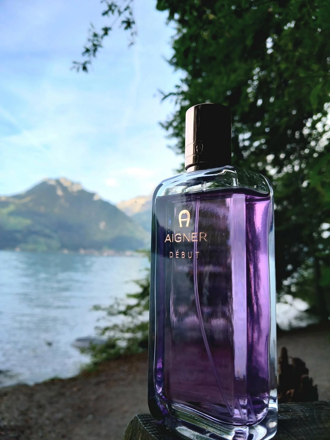 Aigner Debut