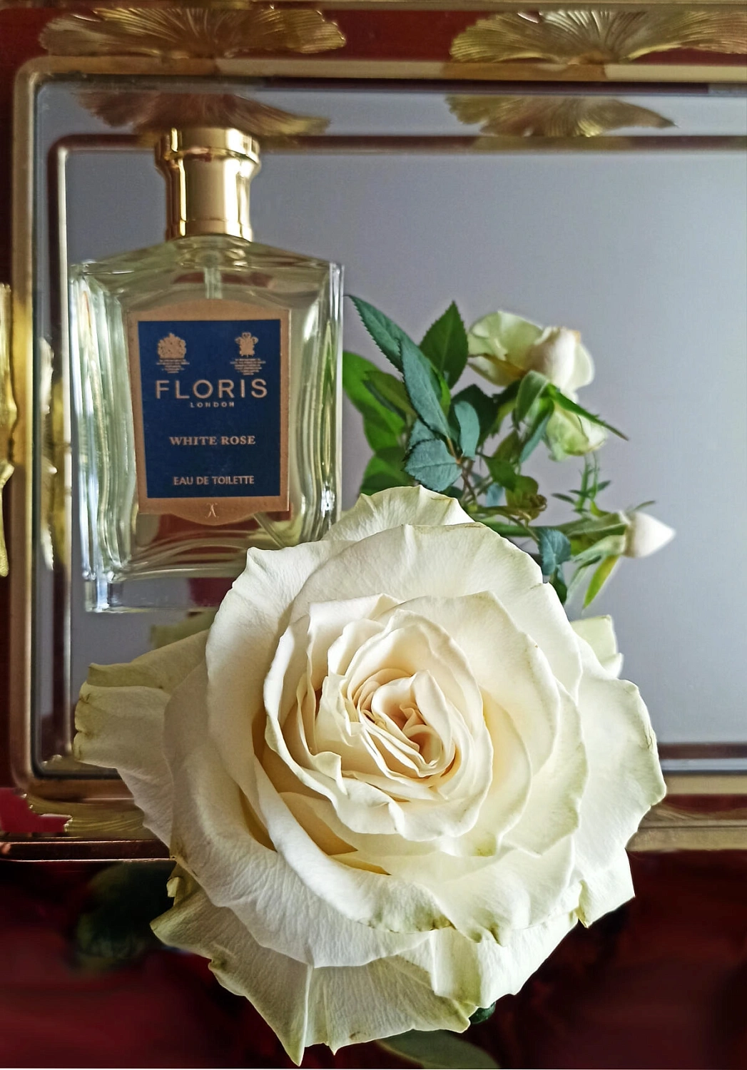 Floris White Rose