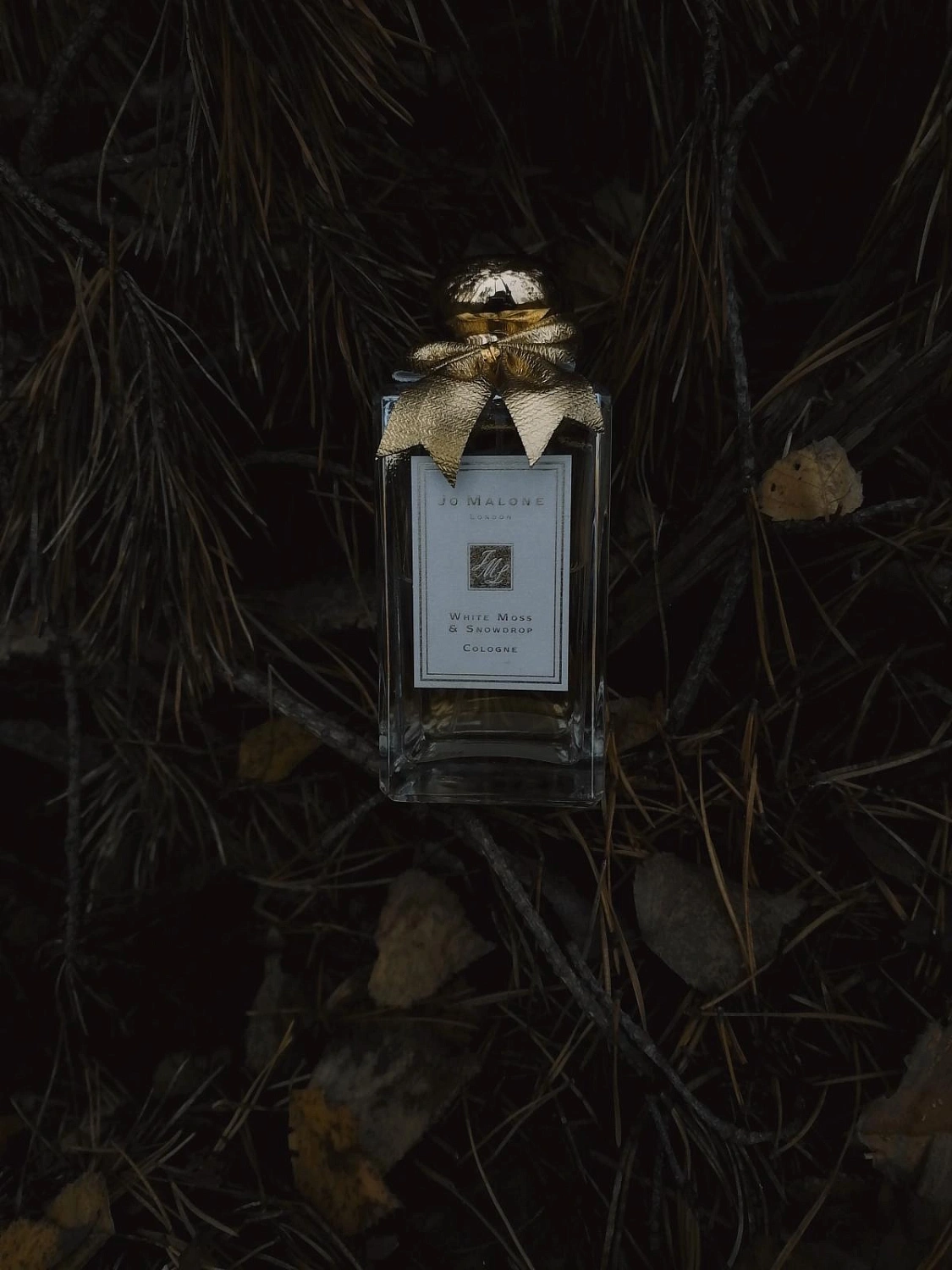 Jo Malone White Moss & Snowdrop