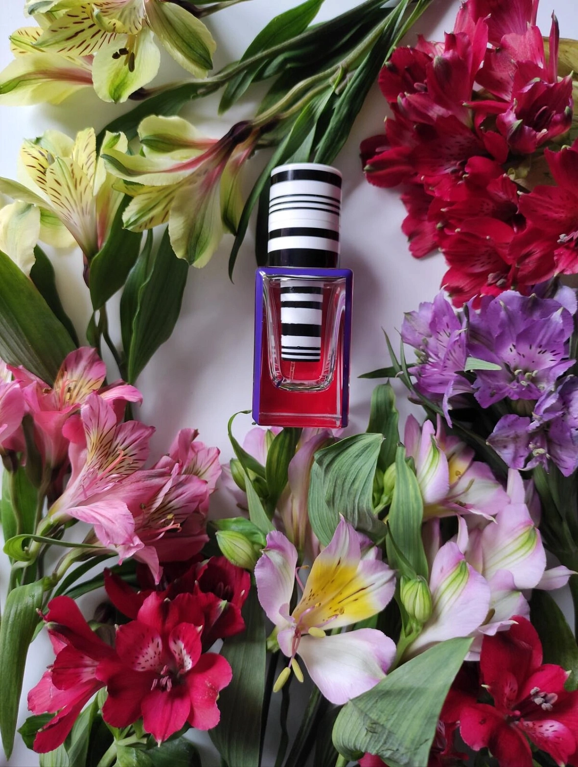 Balenciaga Florabotanica