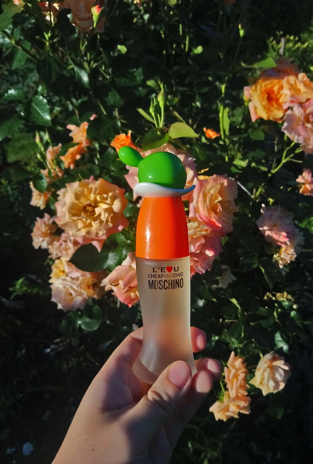 Moschino L'eau Cheap and Chic