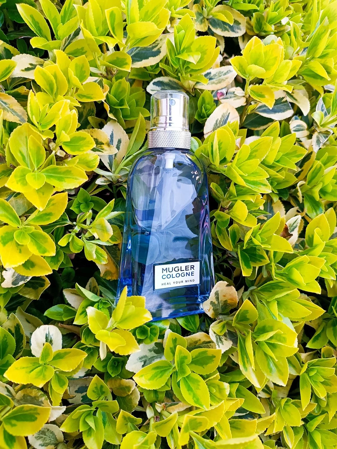 Mugler Heal Your Mind