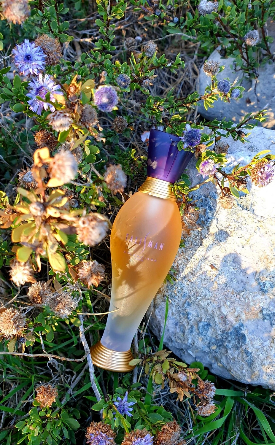Balenciaga Talisman
