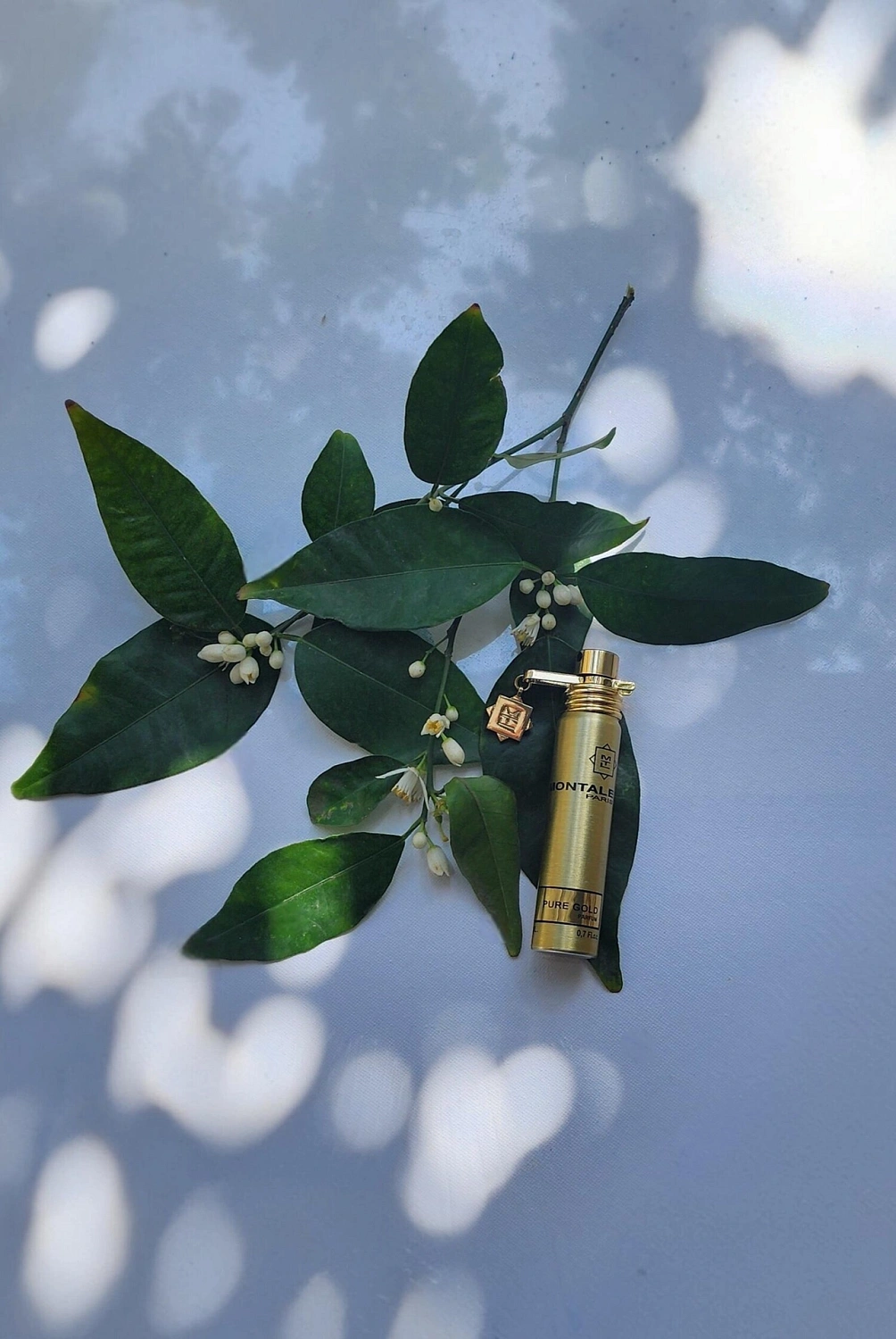 Montale Pure Gold