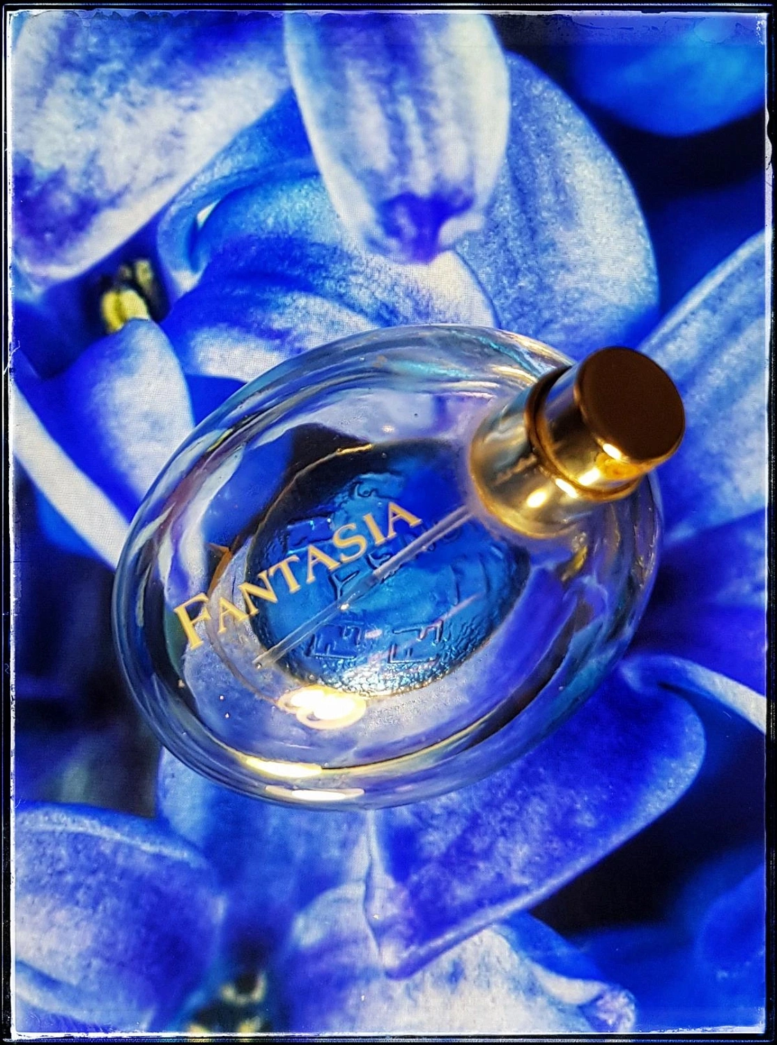 Fendi Fantasia