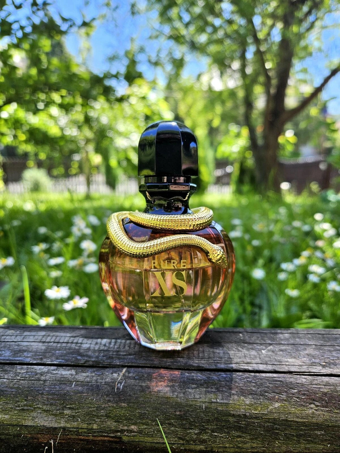 Paco Rabanne Pure XS For Her