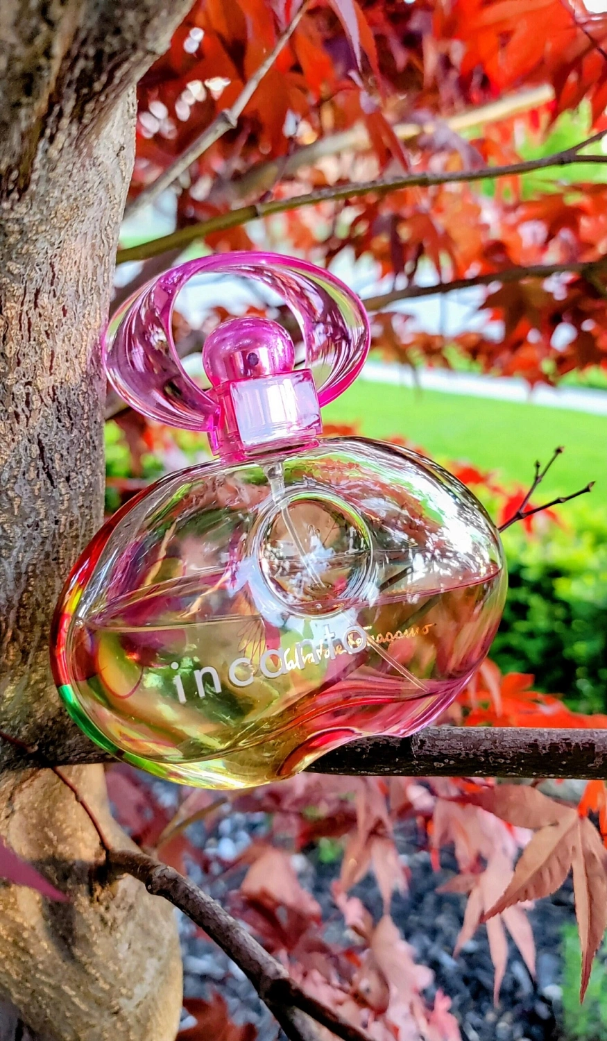 Salvatore Ferragamo Incanto Amity