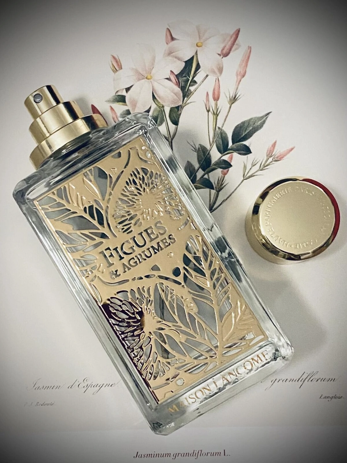 Lancôme Figues & Agrumes