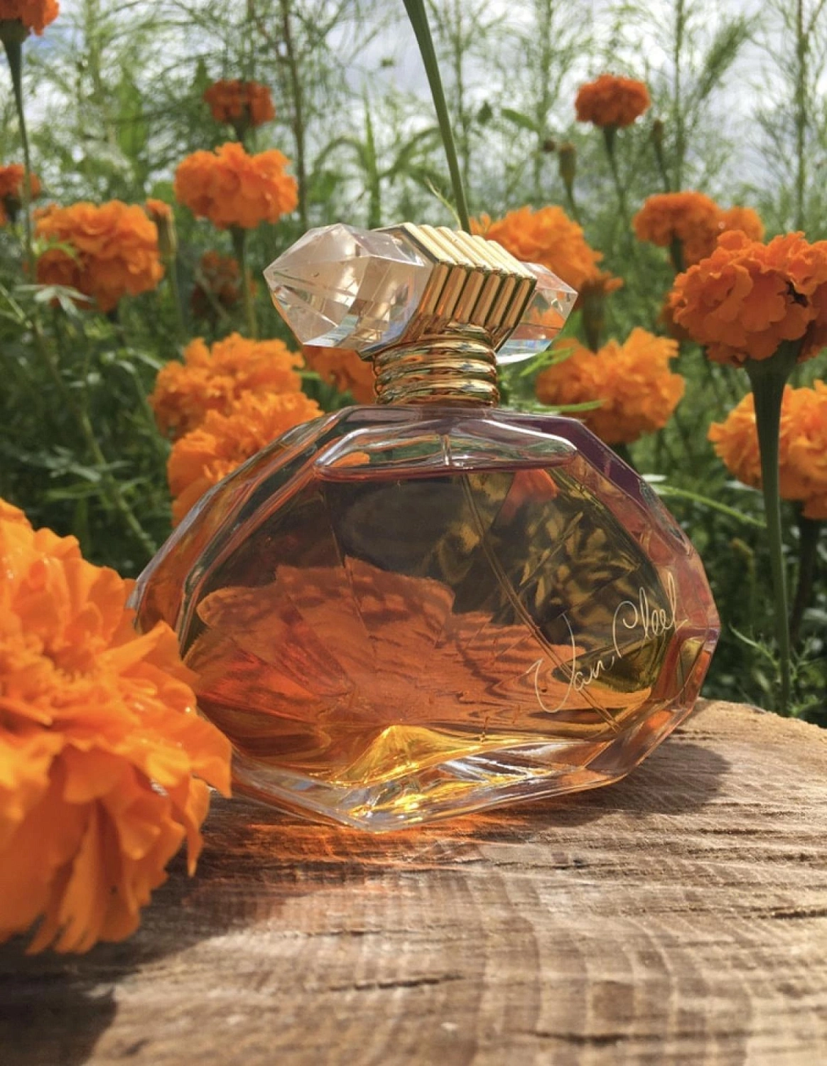 Van Cleef & Arpels Van Cleef