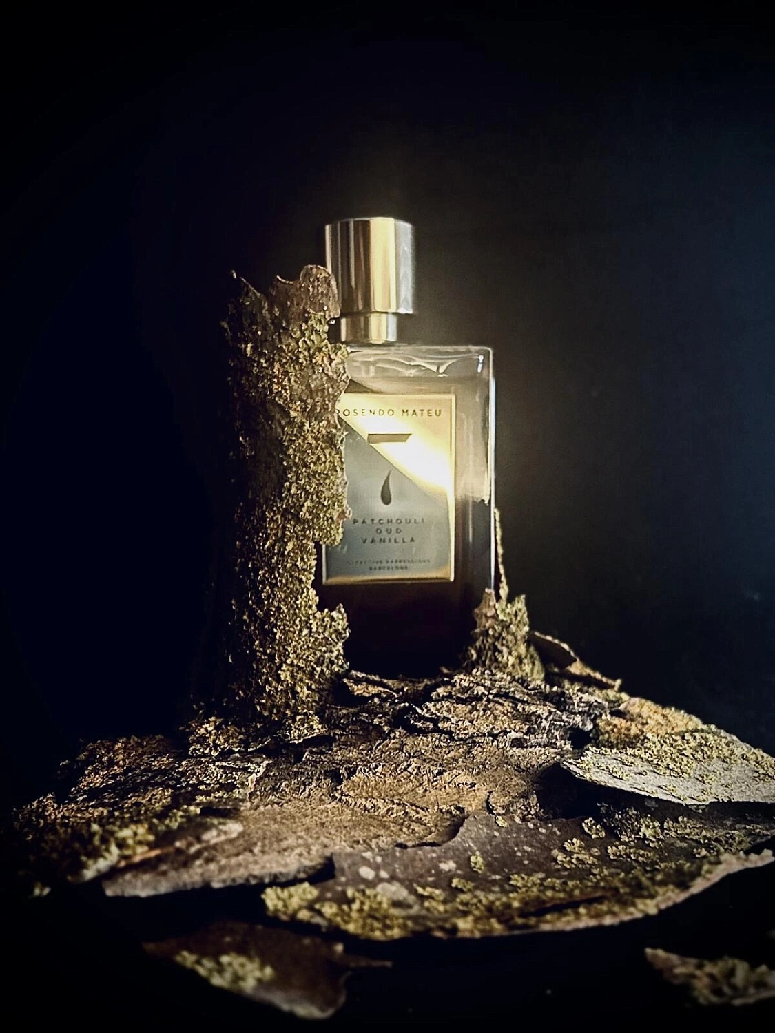 Rosendo Mateu Olfactive Expressions Rosendo Mateu Nº 7 Patchouli, Oud, Vanilla