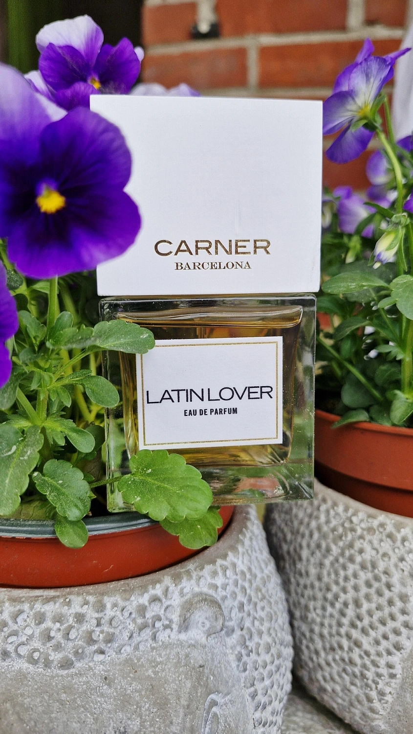 Carner Barcelona Latin Lover