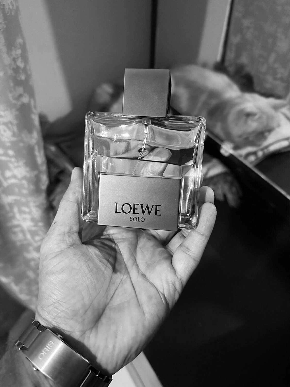 Loewe Solo Mercurio