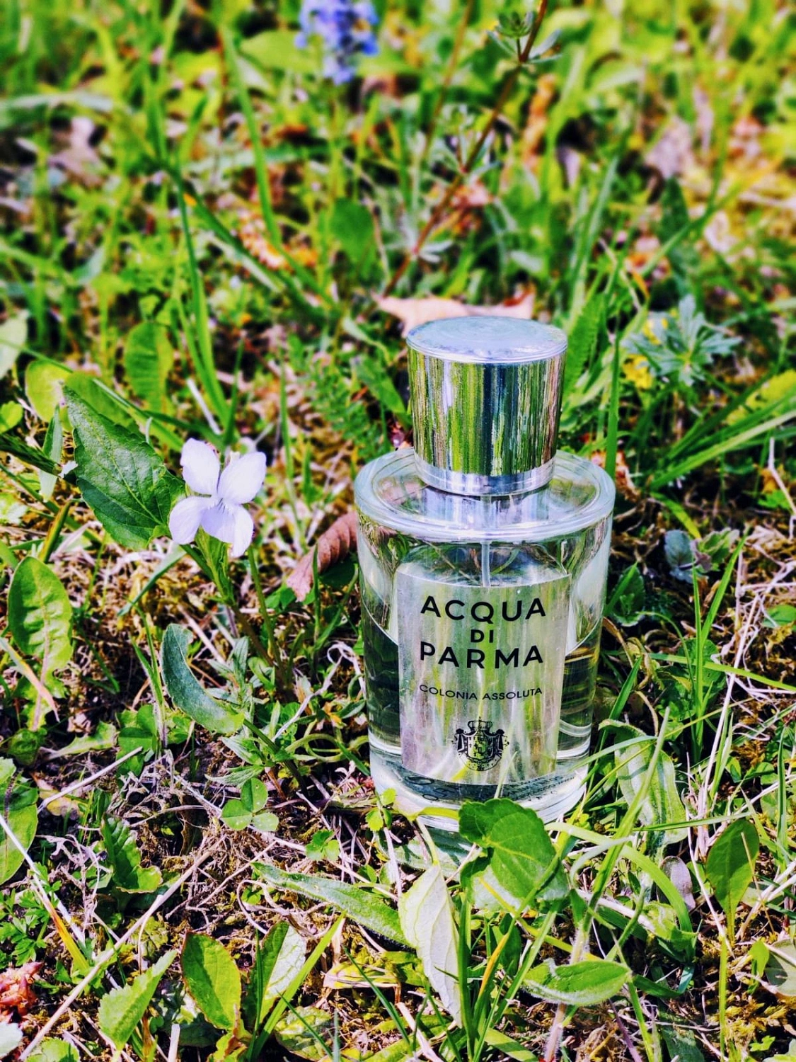 Acqua di Parma Colonia Assoluta