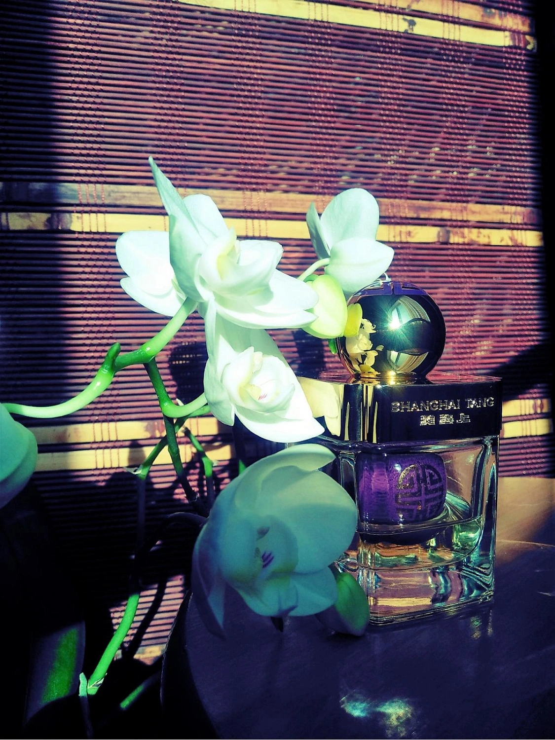 Shanghai Tang Orchid Bloom