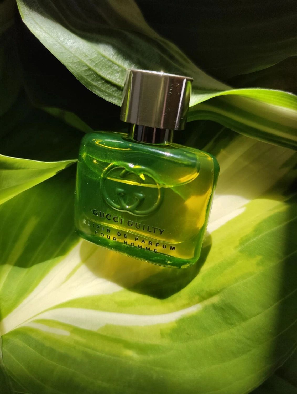 Gucci Guilty Elixir de Parfum pour Homme