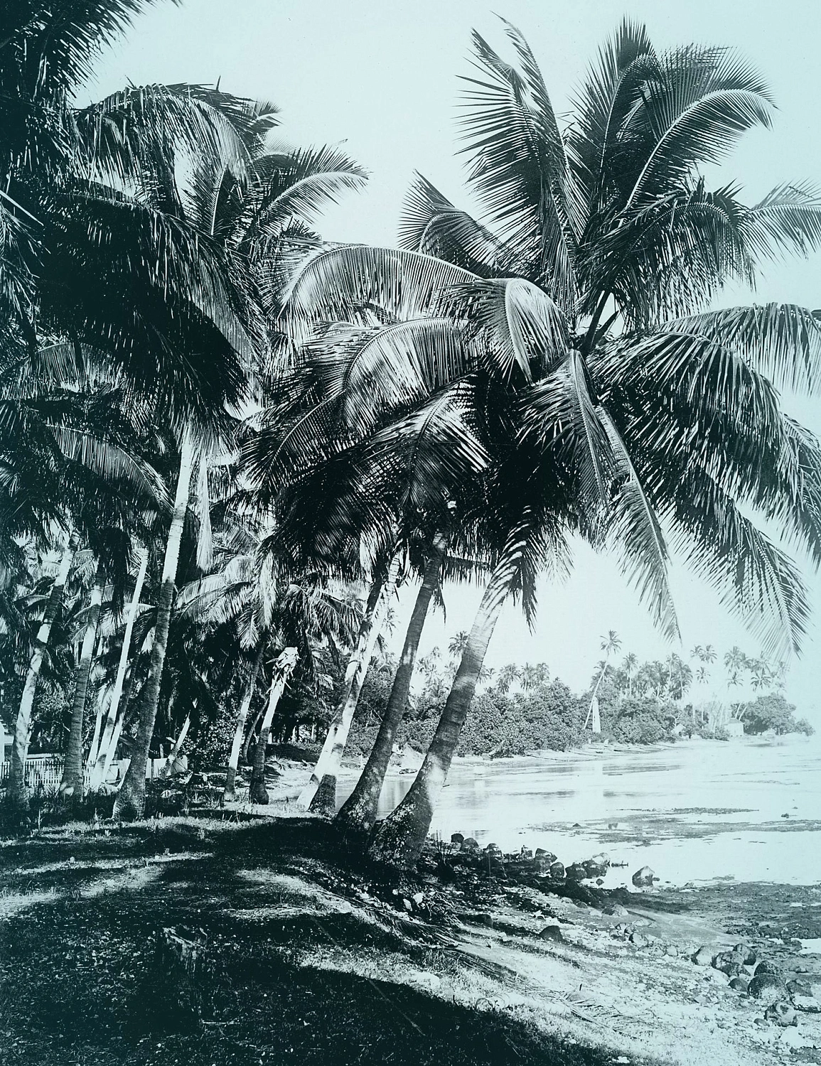 Cherigan Or Des Iles
