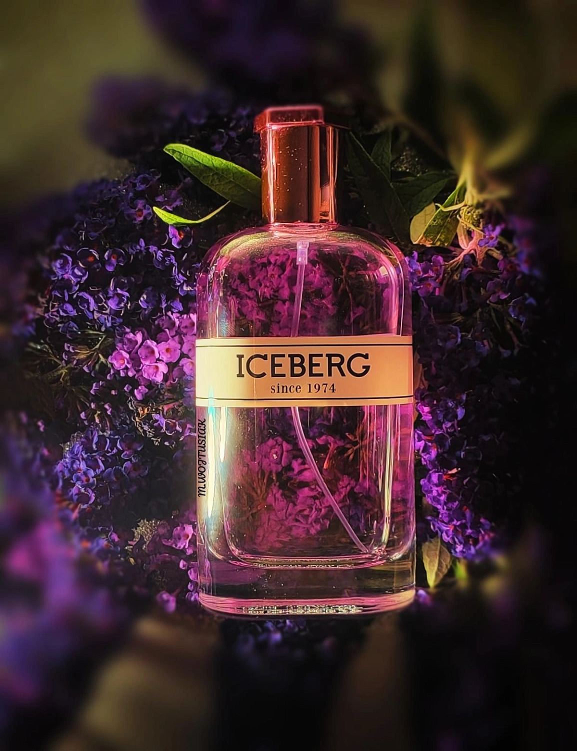 Iceberg Since 1974 for Her