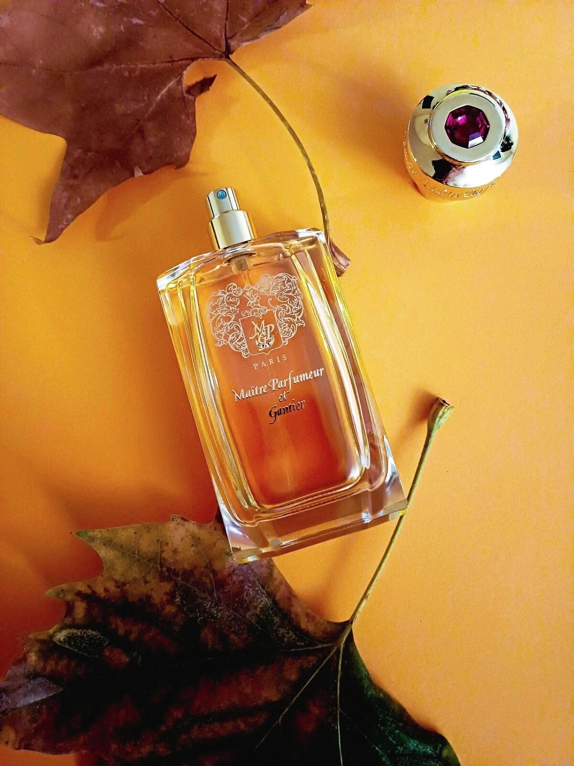Maître Parfumeur et Gantier Ambre Precieux
