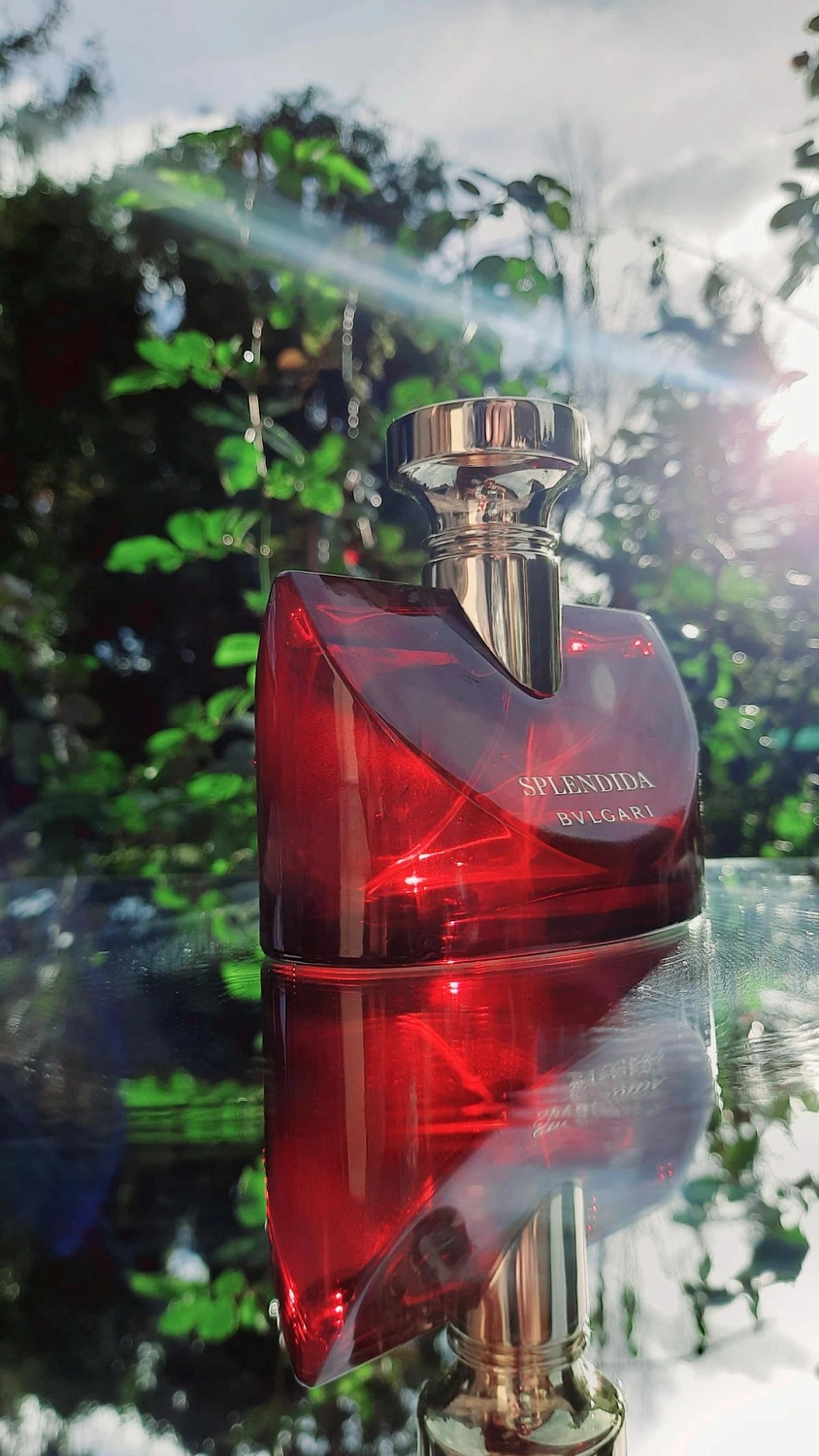 Bvlgari Splendida Magnolia Sensuel