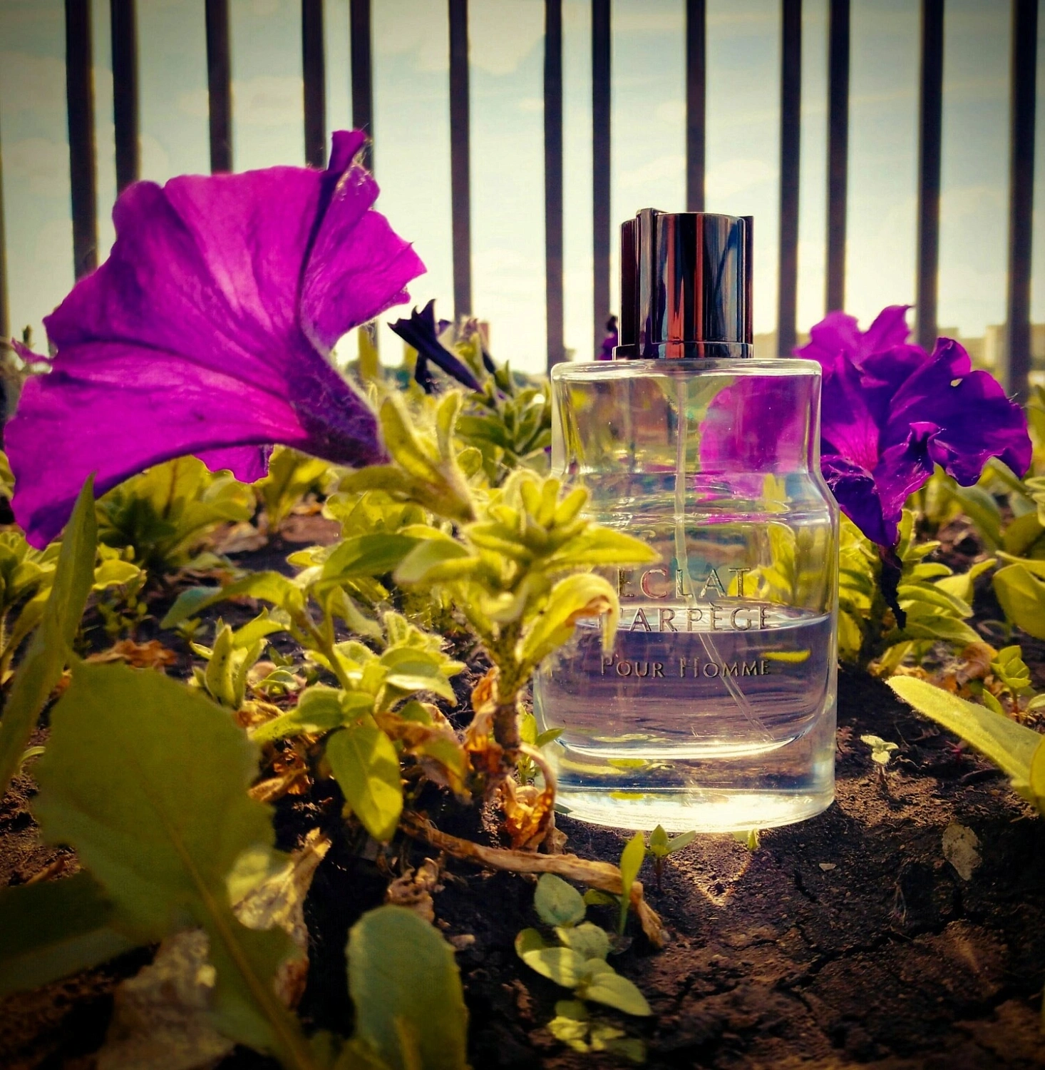Lanvin Eclat d'Arpege Pour Homme