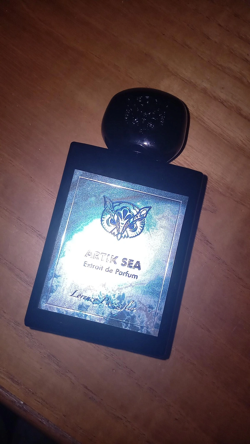 Lorenzo Pazzaglia Artik Sea