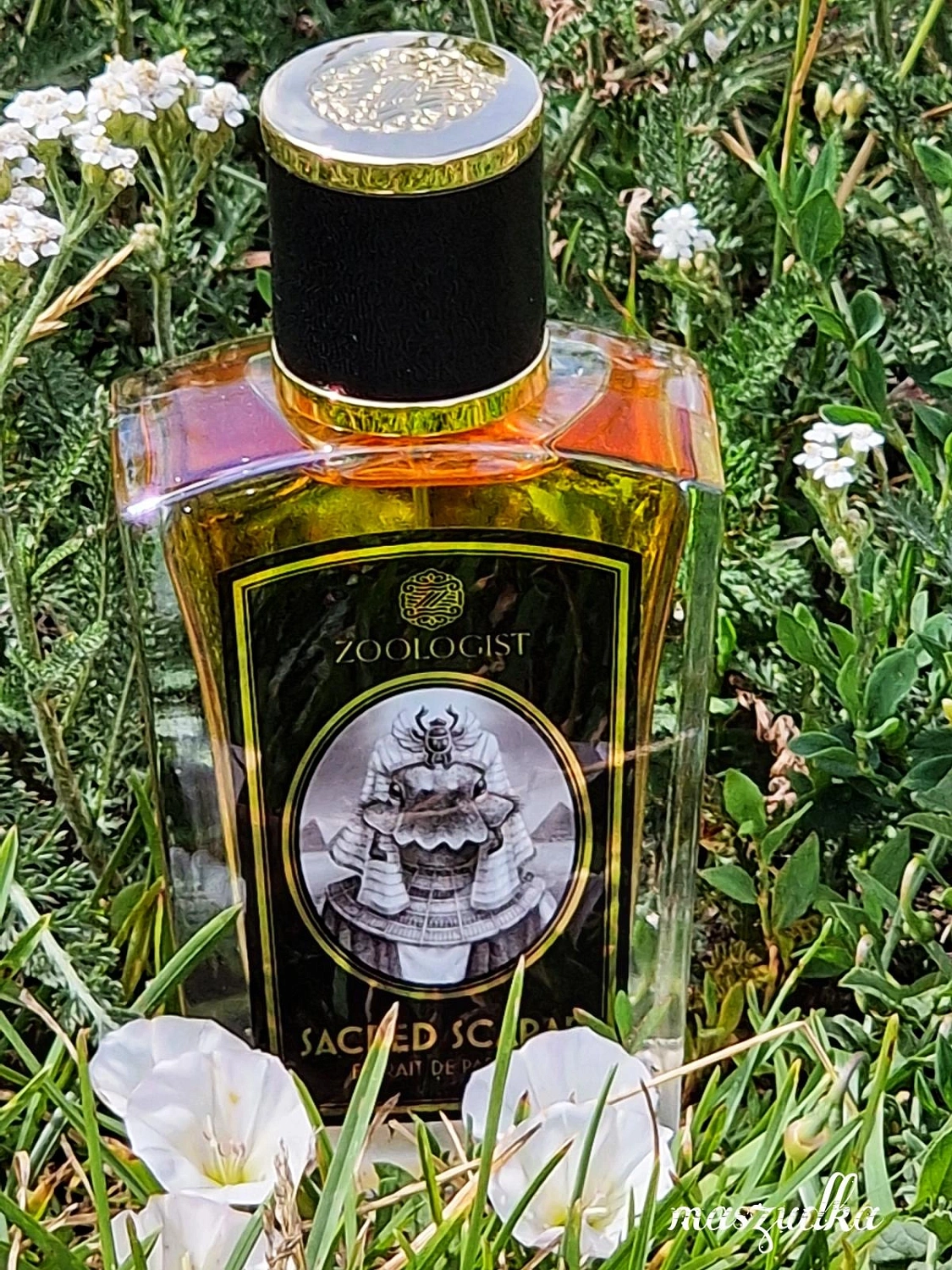 Zoologist Perfumes Sacred Scarab