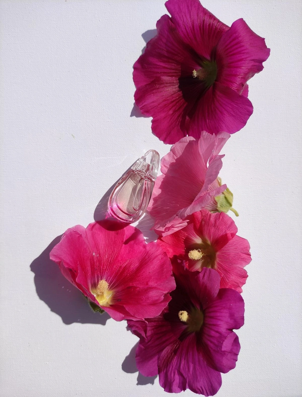 Madly Kenzo! Eau de Toilette
