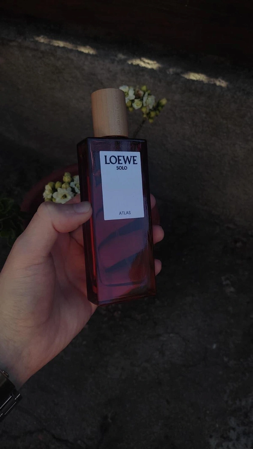 Loewe Solo Atlas