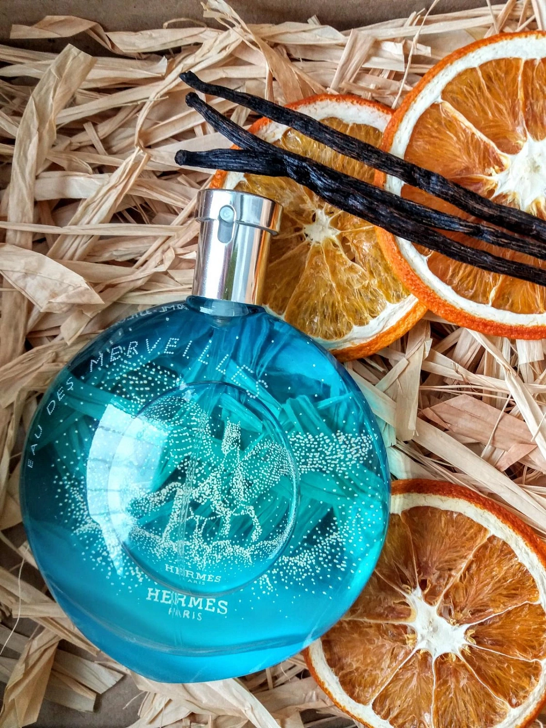 Hermès Eau des Merveilles Pegasus