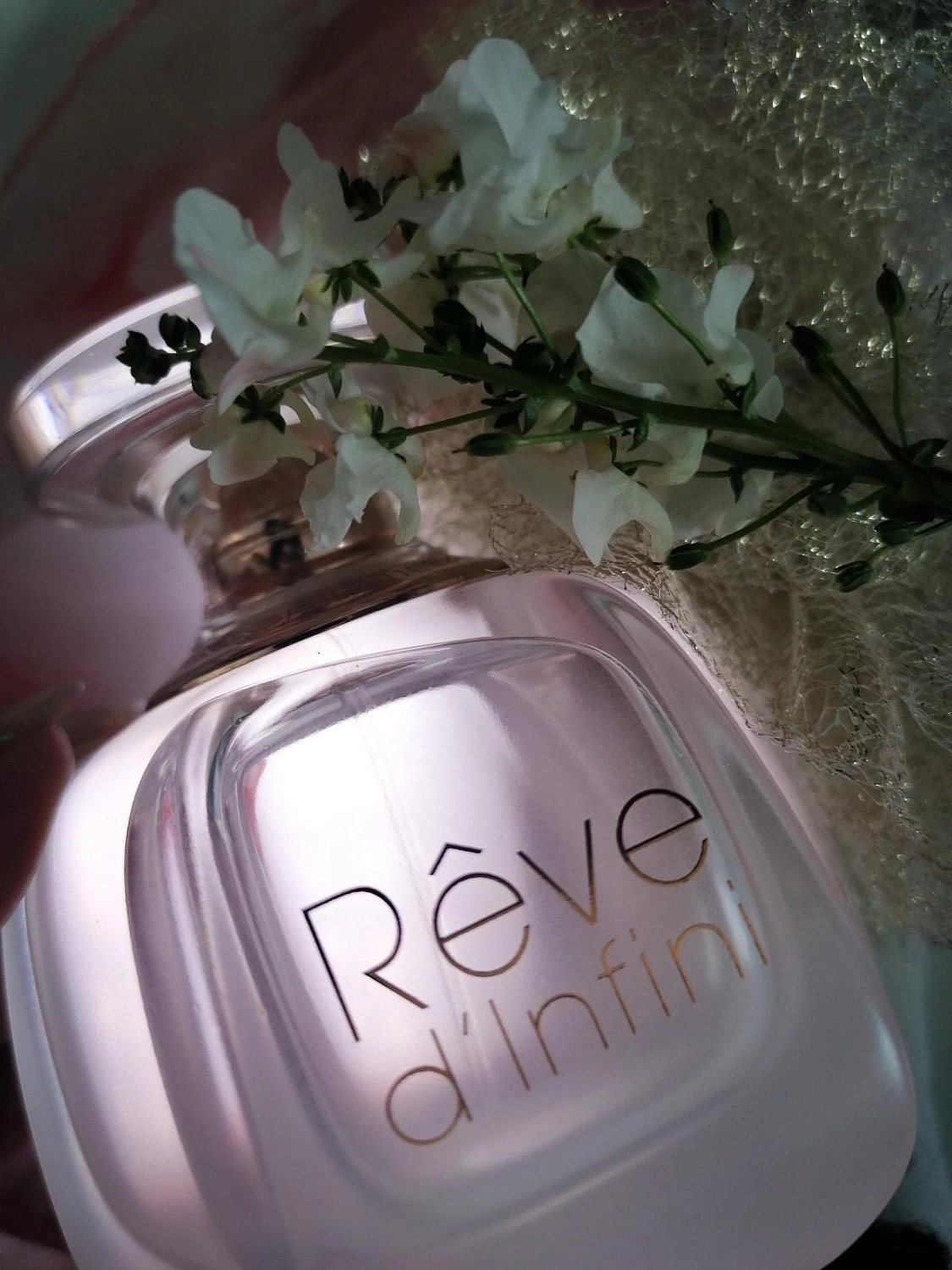 Lalique Reve d'Infini