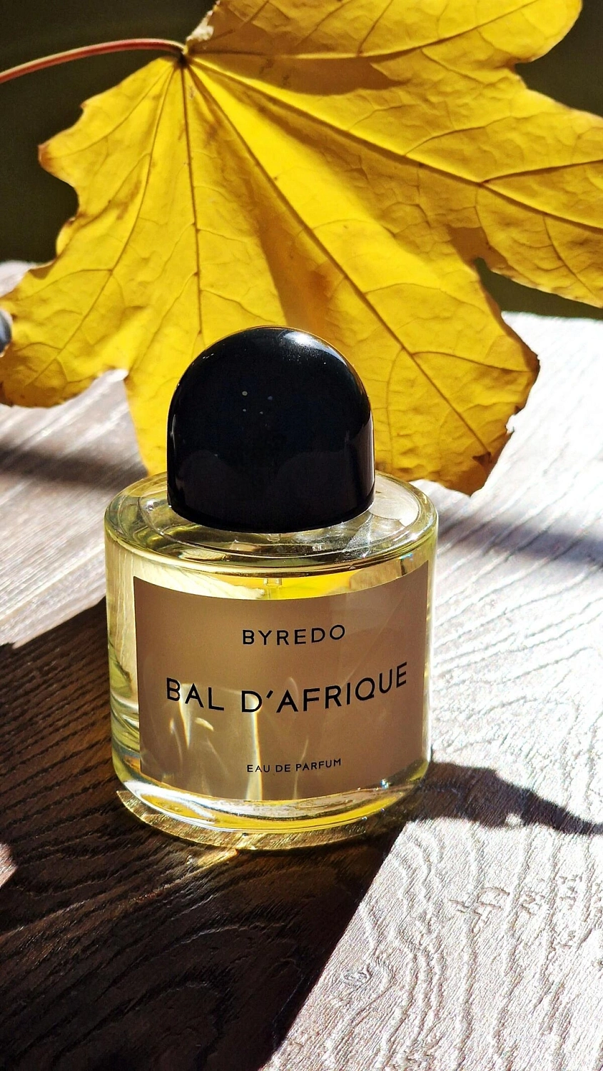 BYREDO Bal d'Afrique