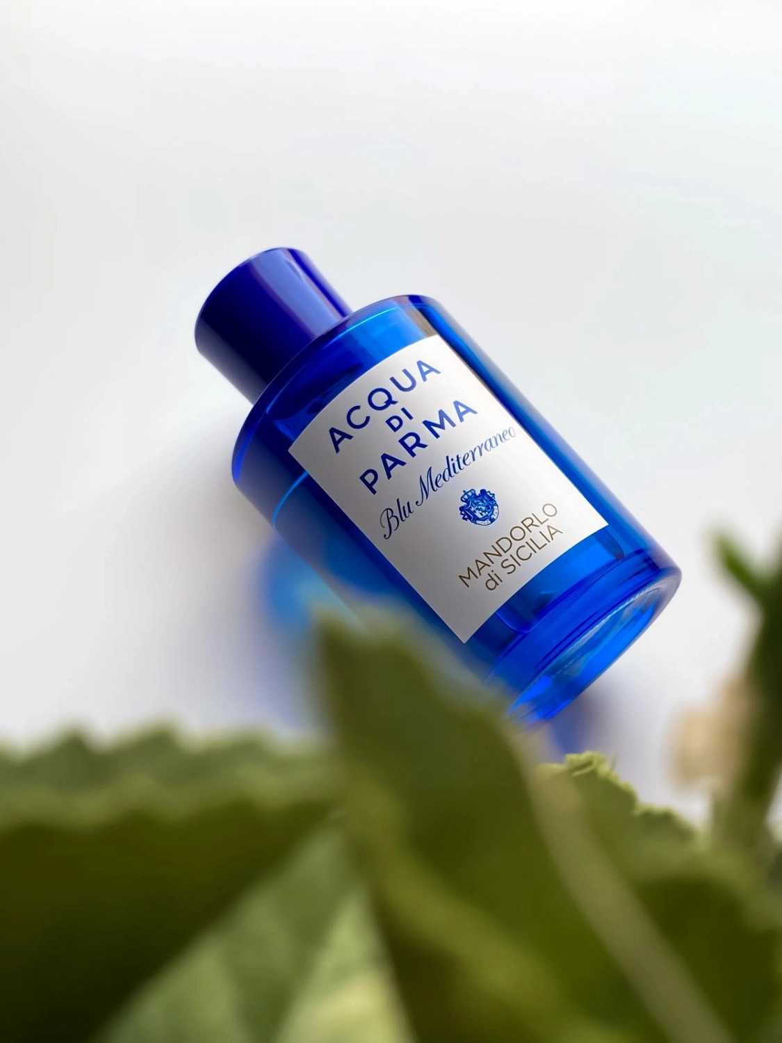 Acqua di Parma Mandorlo di Sicilia