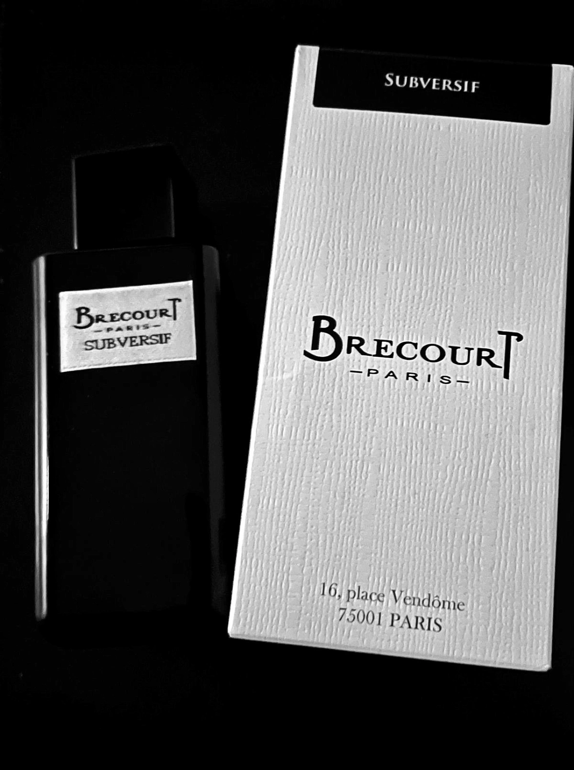 Brecourt Subversif