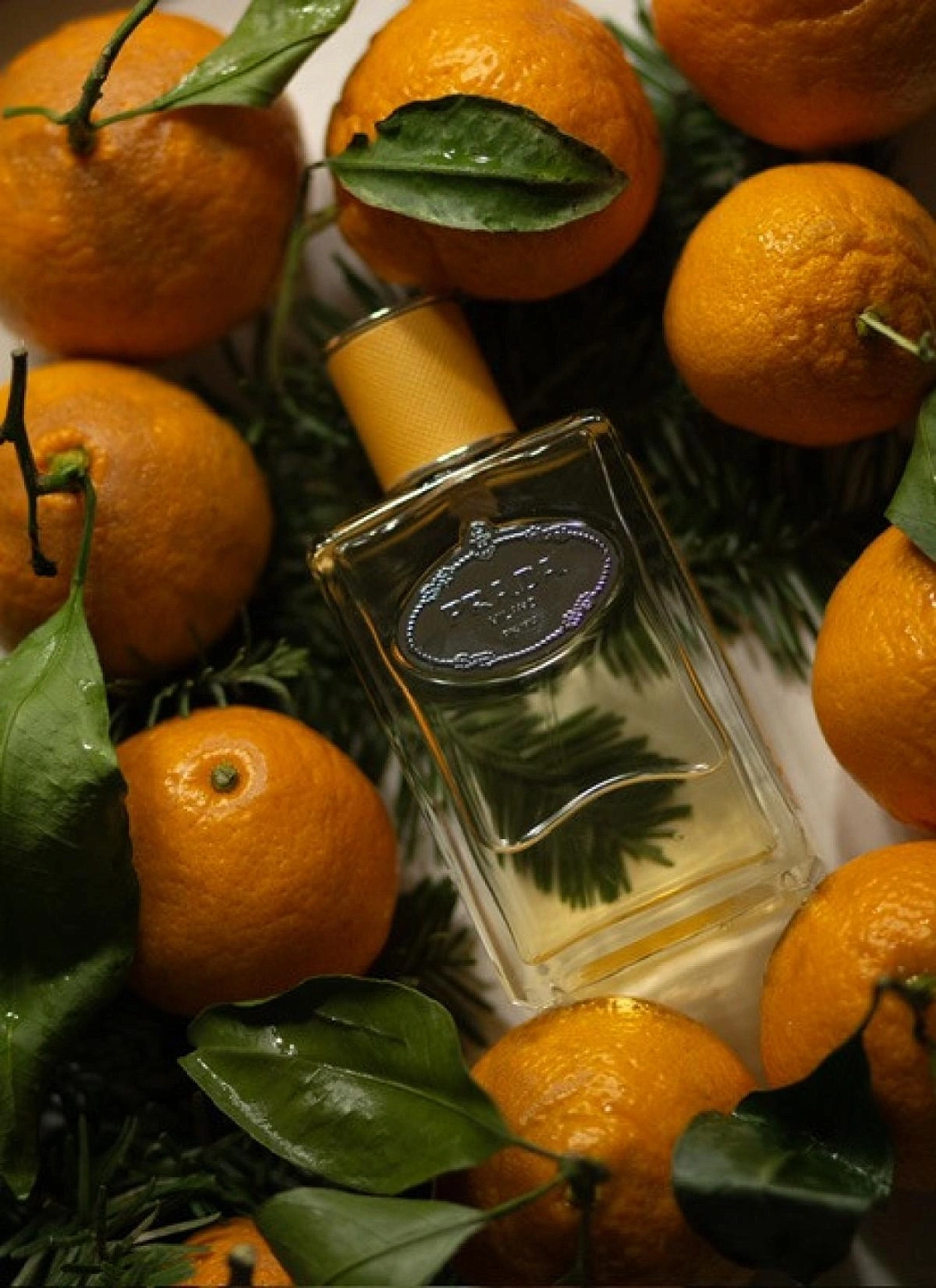Prada Infusion Mandarine