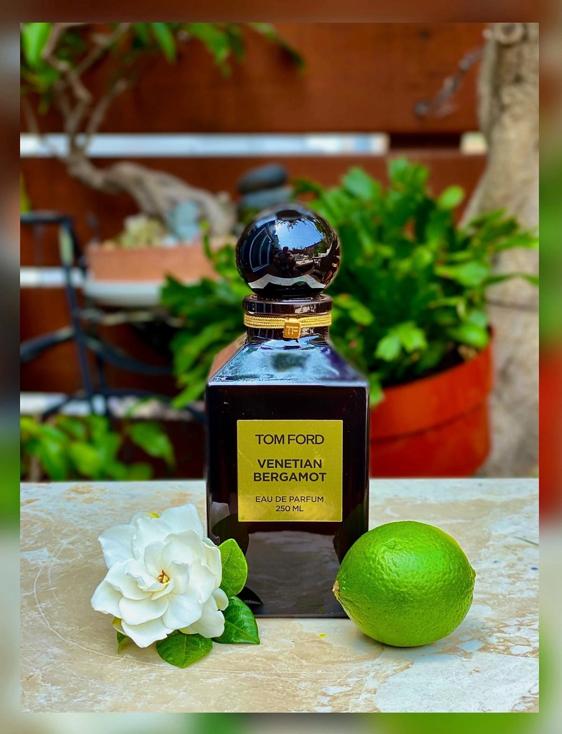 Tom Ford Venetian Bergamot