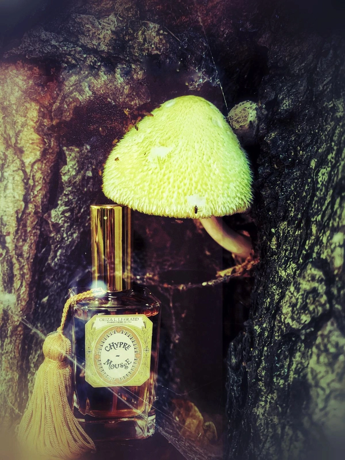Oriza L. Legrand Chypre Mousse