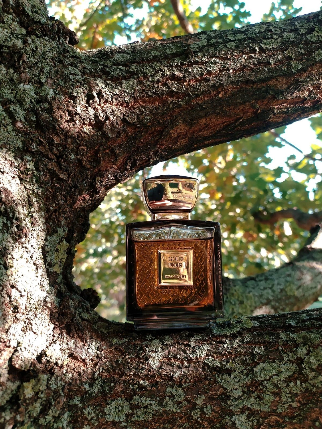 Majouri Gold Noir